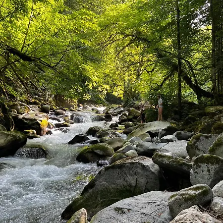 Lejlighed T3 A Argeles-gazost, Htes-pyrenees, A Proximite De Cauterets Et Gavarnie Argelès-Gazost